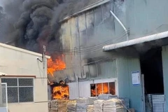 Bình Dương: Cháy lớn tại khu nhà xưởng của công ty sản xuất đồ gốm