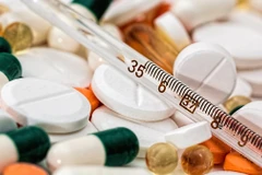 Ảnh minh họa. (Nguồn: GCSP)