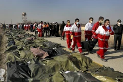 Các nạn nhân thiệt mạng trong vụ bắn nhầm máy bay. (Ảnh: AP)