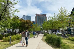 Cuộc sống người dân Hàn Quốc dần quay trở lại bình thường