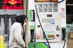 Ảnh minh hoạ. (Nguồn: THX/TTXVN)