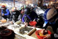 Thành phố Hà Nội đảm bảo nguồn lương thực cho người dân trong mọi tình huống. (Ảnh: Vũ Sinh/TTXVN)