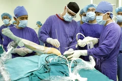 Ảnh minh họa. (Nguồn: TTXVN)