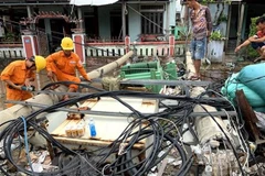 EVN miền Trung giải thích lý do cột điện gãy đổ trong bão số 5