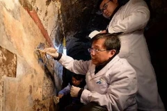 Ảnh chỉ có tính minh họa. (Nguồn: Xinhua)