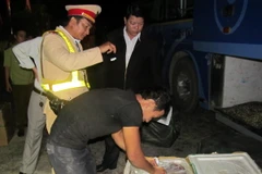 Ảnh chỉ có tính minh họa. (Ảnh: Đức Thọ/TTXVN)