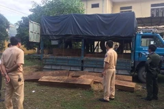 Số gỗ lậu vừa bị bắt giữ. (Ảnh: Quốc Việt/Vietnam+)