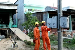 Công nhân điện lực kiểm tra kỹ thuật lưới điện nông thôn. (Ảnh: Ngọc Hà/TTXVN)