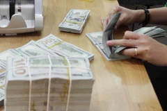 Ảnh chỉ có tính minh họa. (Ảnh: Trần Việt/TTXVN)