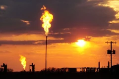 Ảnh minh họa. (Nguồn: usatoday.com)