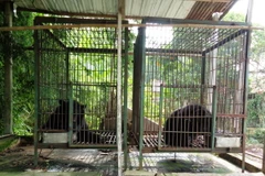 (Ảnh minh họa: Lê Đức Hoảnh/TTXVN)