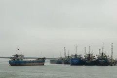 (Ảnh minh họa: Nguyên Lý/TTXVN)