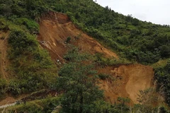 (Ảnh minh họa: Việt Hoàng/TTXVN)