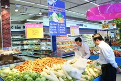 (Ảnh minh họa: Huy Hùng/TTXVN)