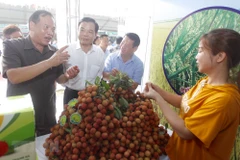 Bộ trưởng Bộ Nông nghiệp và Phát triển Nông thôn Nguyễn Xuân Cường, Bí thư Tỉnh ủy Hải Dương Nguyễn Mạnh Hiển và các đại biểu tham quan các gian hàng vải thiều tại lễ hội. (Ảnh: Lâm Khánh/TTXVN)