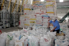 Chế biến gạo xuất khẩu tại Xí nghiệp Chế biến lương thực cao cấp Tân Túc (huyện Bình Chánh, TP.HCM). (Ảnh: Đình Huệ/TTXVN)