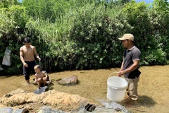 Người dân xã Hương Hữu, huyện Nam Đông sử dụng một nguồn nước duy nhất để nấu ăn và tắm rửa. (Ảnh: Mai Trang/TTXVN)