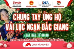 Hình ảnh vải thiều được quảng bá trên các trang thương mại điện tử. (Ảnh: TTXVN)