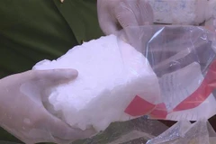 Ảnh minh họa. (Ảnh: Trịnh Duy Hưng/TTXVN)