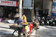 Các khu vực trên cả nước ngày nắng, chiều, tối có mưa dông. (Ảnh: Kim Thu/TTXVN)