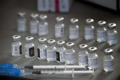 Vaccine ngừa COVID-19 của Hãng Pfizer-BioNTech. (Ảnh: AFP/TTXVN)