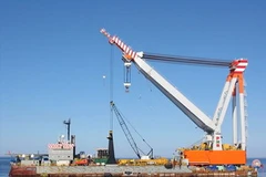 Ảnh minh họa. (Nguồn: Internet)