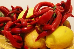 Ảnh minh họa. (Nguồn: Internet)