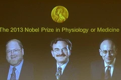 James Rothman, Randy Schekman và Thomas Sudhof. (Nguồn: AFP)
