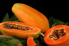 Ảnh minh họa. (Nguồn: Internet)