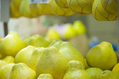 Ảnh minh họa. (Nguồn: Internet)