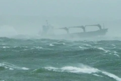 (Nguồn: Xinhuanet.com)