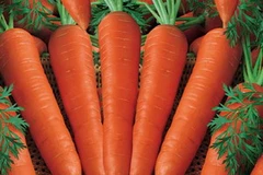 Ảnh minh họa. (Nguồn: Internet)