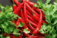 Ảnh minh họa. (Nguồn: Internet)