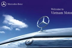 Ảnh minh họa. (Nguồn: Internet)