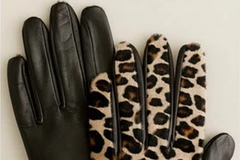 (Nguồn: Đẹp/Vietnam+)