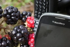 Ảnh minh họa. (Nguồn: dd508hmafkqws.cloudfront.net)