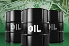 Ảnh minh họa. (Nguồn: Internet)