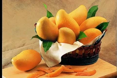 Ảnh minh họa. (Nguồn: Internet)