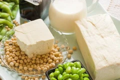 Ảnh minh họa. (Nguồn: Đẹp/Vietnam+)