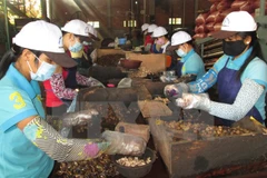 Các doanh nghiệp cũng phải chủ động hơn trong tìm kiếm thị trường. (Ảnh: TTXVN)