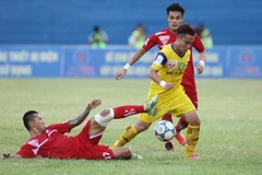 (Ảnh: Lâm Khánh/TTXVN)