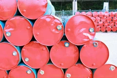 Ảnh minh họa. (Nguồn: dispatchtimes)