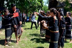 Ảnh minh họa. (Ảnh: Thanh Hà/TTXVN)