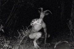 Người Dê bí ẩn. (Nguồn: metro.co.uk)