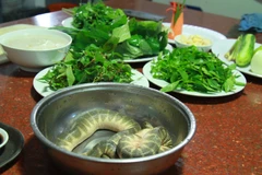 Đẻn có rất nhiều loại như đẻn kim, đẻn cá, đẻn sọc, đẻn bông, đẻn gai… Mỗi loại đẻn khi chế biến lại có hương vị ngọt khác nhau. (Ảnh: Xuân Mai/Vietnam+)