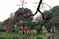 Một sớm hồ Gươm tinh khôi qua ống kính của nhà báo Hà Hồng.