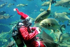 Ảnh chỉ mang tính minh họa. (Nguồn: AFP/TTXVN)