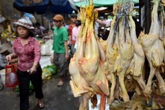 Một quầy bán thịt gà tại chợ ở thủ đô Phnom Penh. (Nguồn: AFP/TTXVN)