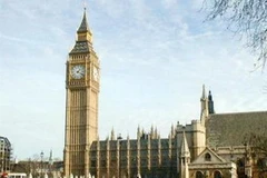 Ảnh minh họa. (Nguồn: Internet)