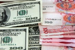 Ảnh minh họa. (Nguồn: THX/TTXVN)